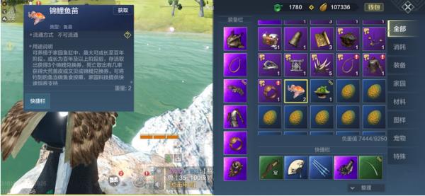 妄想山海锦鲤鱼苗获得方法
