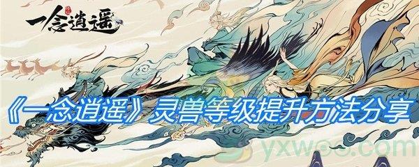 一念逍遥灵兽等级提升方法分享