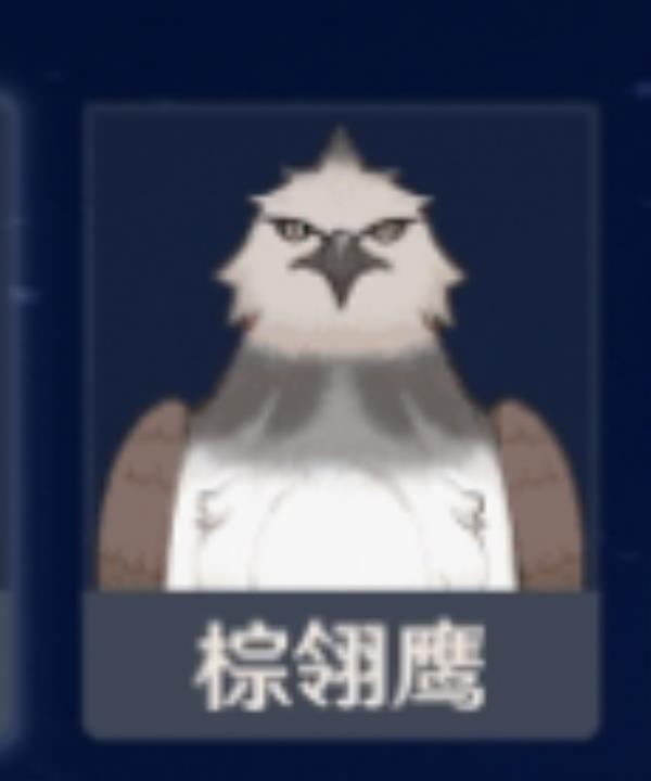 原神棕翎鹰位置介绍