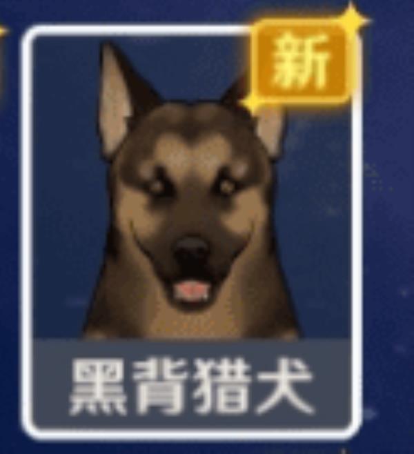 原神黑背猎犬位置介绍