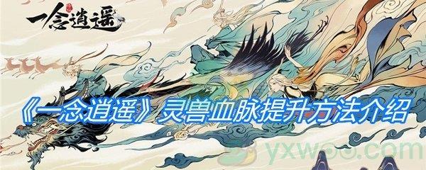 一念逍遥灵兽血脉提升方法介绍