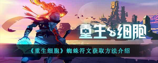 重生细胞蜘蛛符文获取方法介绍