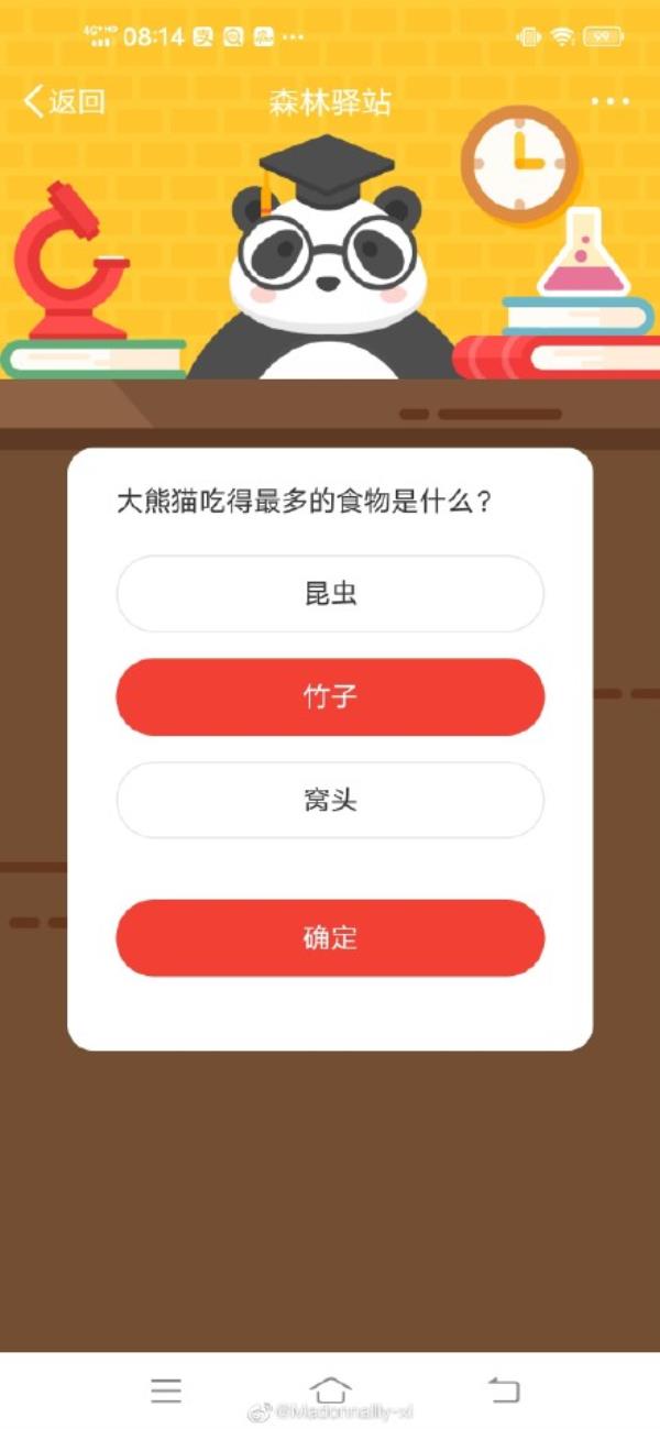 微博森林驿站大熊猫吃得最多的食物是什么