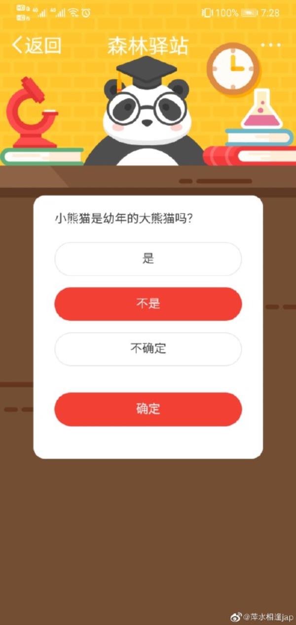 微博森林驿站小熊猫是幼年的大熊猫吗