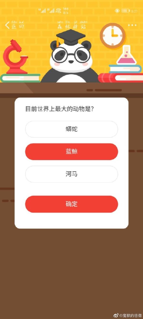 微博森林驿站目前世界上最大的动物是