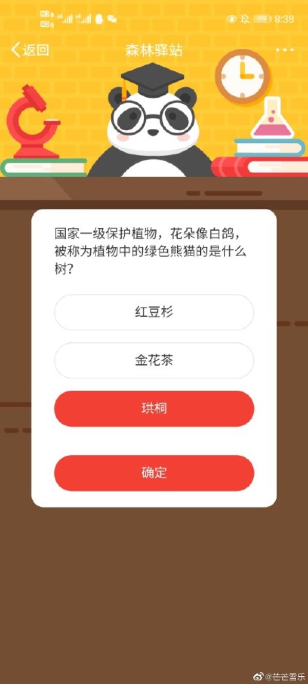 微博森林驿站被称为植物中的绿色熊猫的是什么树