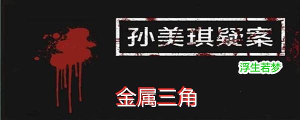 孙美琪疑案:浮生若梦三级线索金属三角