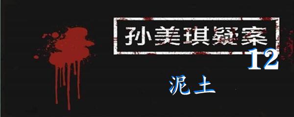 孙美琪疑案:12四级线索泥土