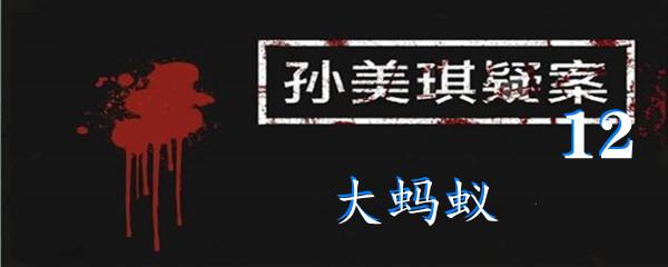 孙美琪疑案:12四级线索大蚂蚁