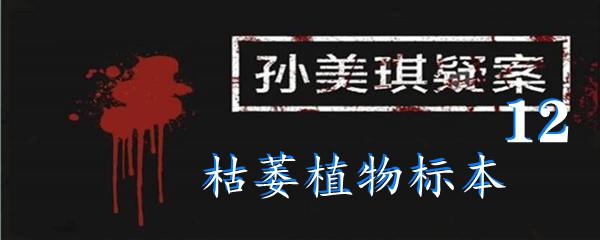 孙美琪疑案:12枯萎植物标本