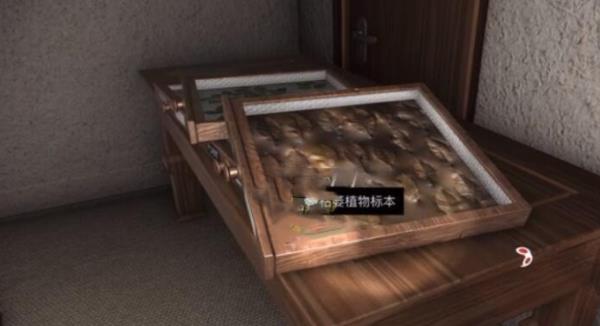 孙美琪疑案:12枯萎植物标本
