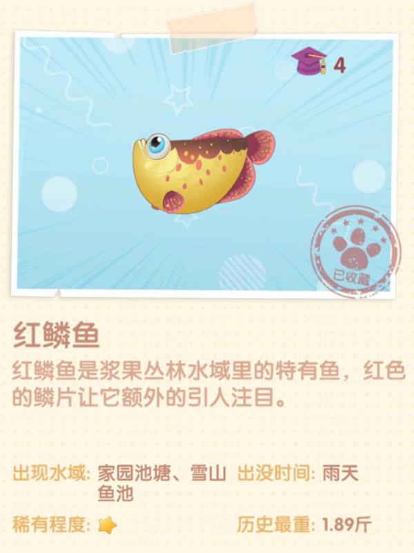 摩尔庄园红磷鱼