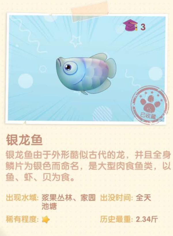 摩尔庄园银龙鱼