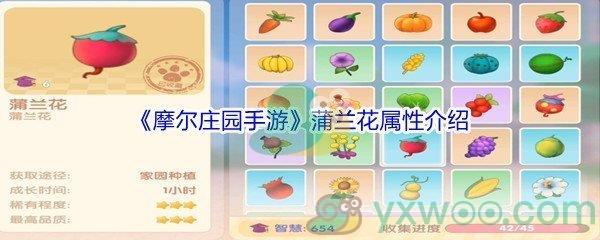 摩尔庄园手游蒲兰花属性介绍