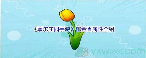 摩尔庄园手游郁金香属性介绍