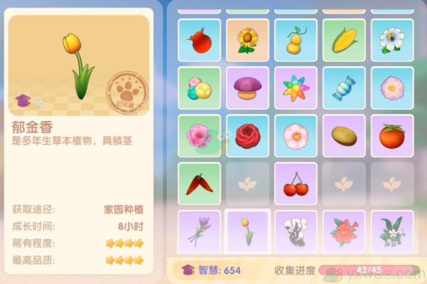 摩尔庄园手游郁金香属性介绍