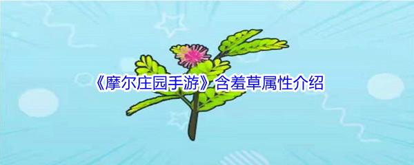 摩尔庄园手游含羞草属性介绍