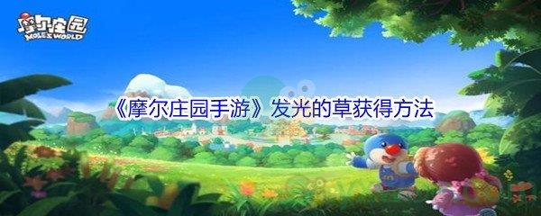 摩尔庄园手游发光的草获得方法介绍