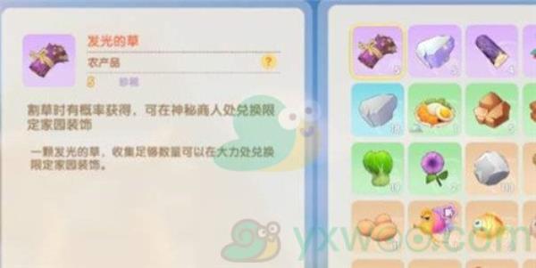 摩尔庄园手游发光的草获得方法介绍