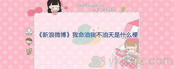 新浪微博我命油我不油天是什么梗