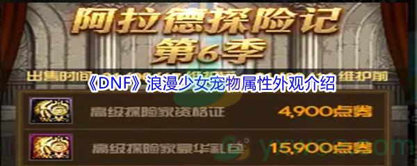 DNF浪漫少女宠物属性外观介绍