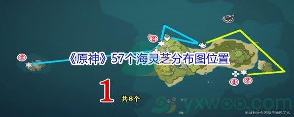 原神57个海灵芝分布图位置介绍