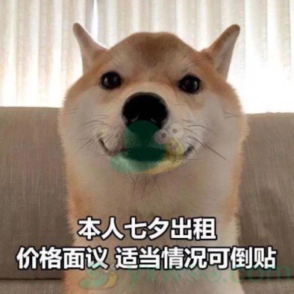 2021七夕情人节高清无水印表情包大全分享