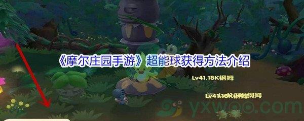 摩尔庄园手游超能球获得方法介绍