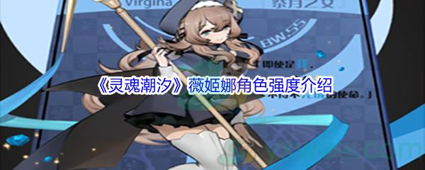 灵魂潮汐薇姬娜角色强度介绍