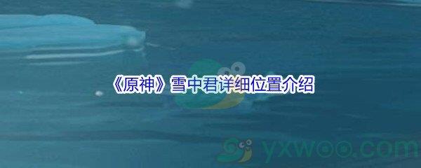 原神雪中君详细位置介绍