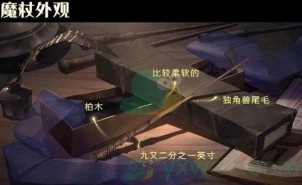 哈利波特魔法觉醒魔杖选择规则介绍