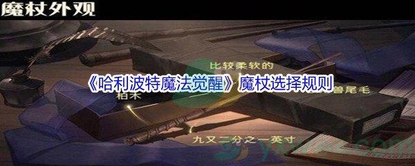 哈利波特魔法觉醒魔杖选择规则介绍
