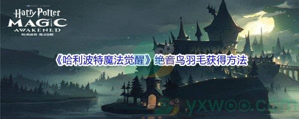 哈利波特魔法觉醒绝音鸟羽毛获得方法