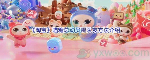 淘宝喵糖总动员踢队友方法介绍