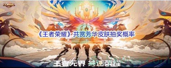 王者荣耀共赏芳华皮肤抽奖概率介绍