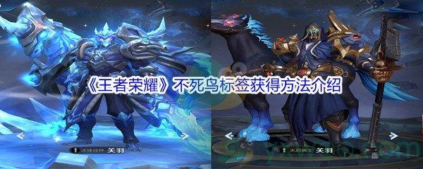 王者荣耀不死鸟标签获得方法介绍