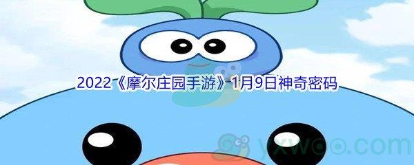 2022摩尔庄园手游1月9日神奇密码分享