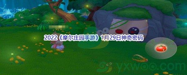 2022摩尔庄园手游1月29日神奇密码分享