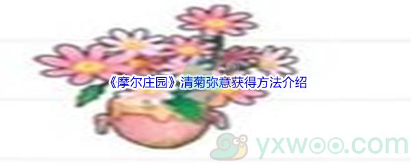 摩尔庄园清菊弥意获得方法介绍