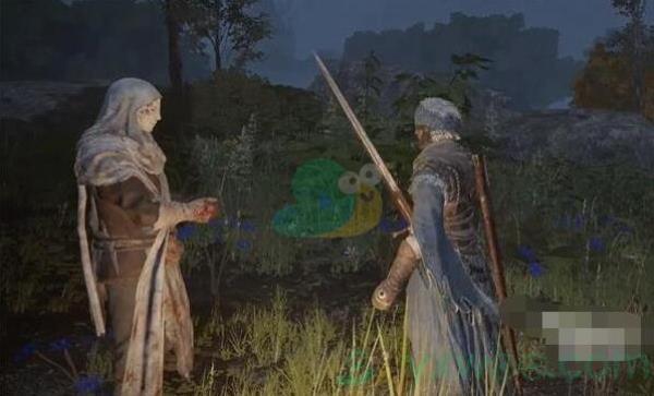 艾尔登法环鲜血君王支线任务攻略