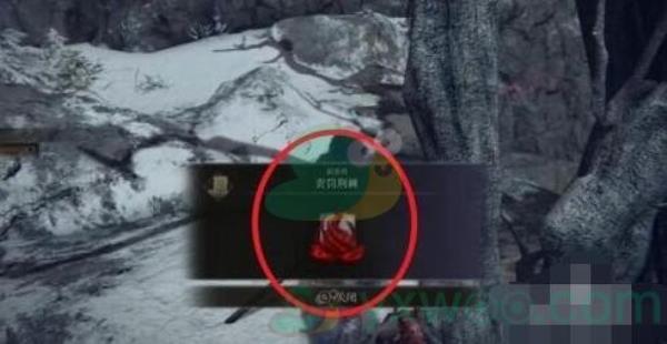 艾尔登法环责罚荆棘魔法获得方法介绍