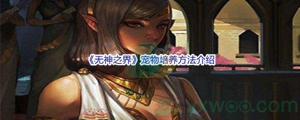 无神之界宠物培养方法介绍