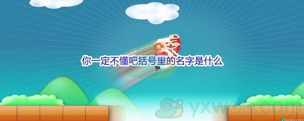 哔哩哔哩你一定不懂吧括号里的名字是什么
