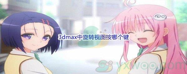 哔哩哔哩3dmax中旋转视图按哪个键