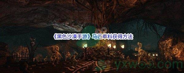黑色沙漠手游马匹草料获得方法介绍