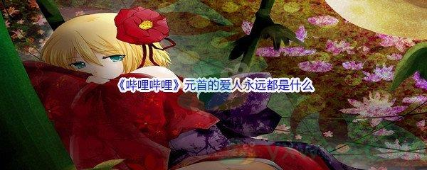 哔哩哔哩元首的爱人永远都是什么