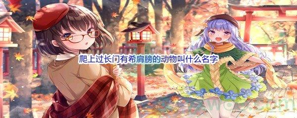 哔哩哔哩爬上过长门有希肩膀的动物叫什么名字
