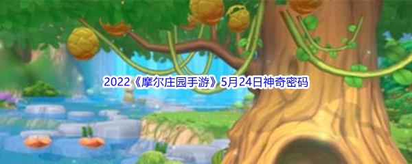 2022摩尔庄园手游5月24日神奇密码分享