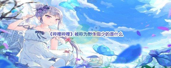 哔哩哔哩被称为野生诹少的是什么