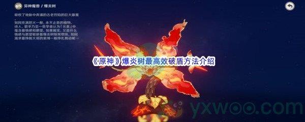 原神爆炎树最高效破盾方法介绍